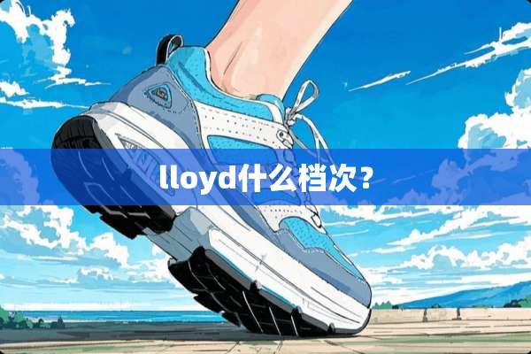 lloyd什么档次？