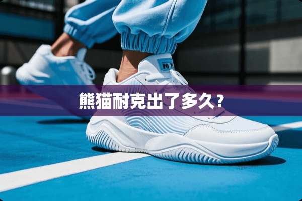 熊猫耐克出了多久？