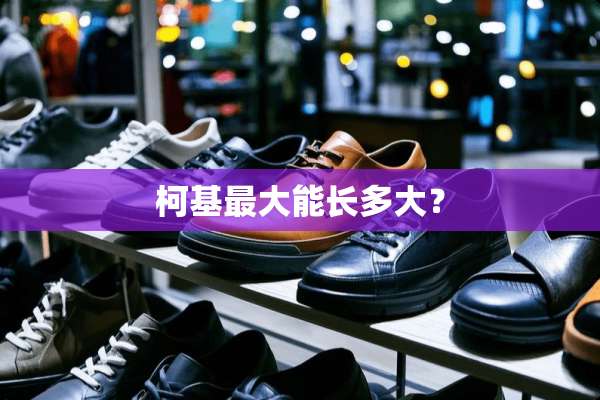 柯基最大能长多大？