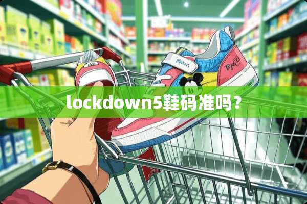 lockdown5鞋码准吗？