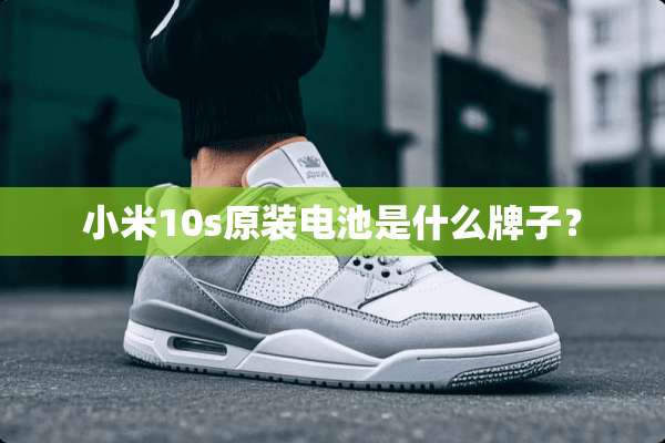 小米10s原装电池是什么牌子？