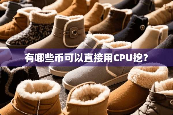有哪些币可以直接用CPU挖？