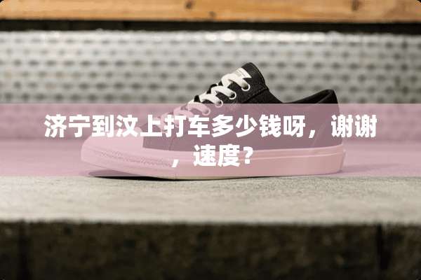 济宁到汶上打车多少钱呀，谢谢，速度？