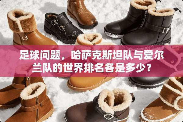 **问题，哈萨克斯坦队与爱尔兰队的世界排名各是多少？