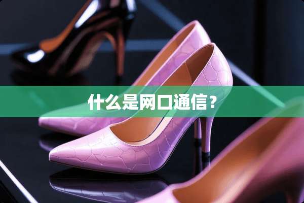 什么是网口通信？