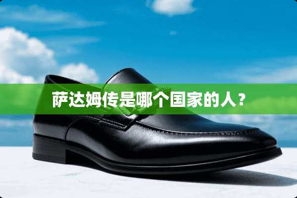 萨达姆传是哪个国家的人？