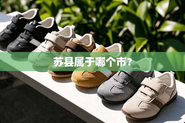 苏县属于哪个市？