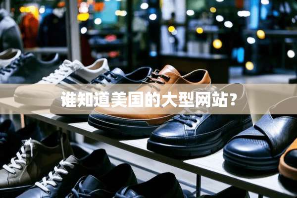 谁知道美国的大型网站？