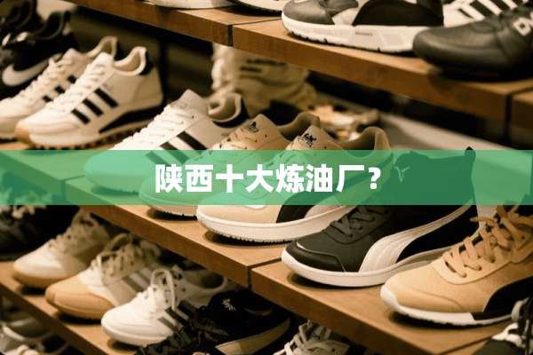 陕西十大炼油厂？