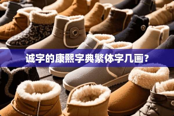 诚字的康熙字典繁体字几画？