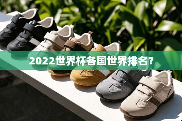 2022世界杯各国世界排名？