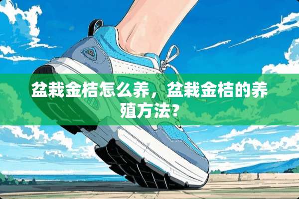 盆栽金桔怎么养，盆栽金桔的养殖方法？