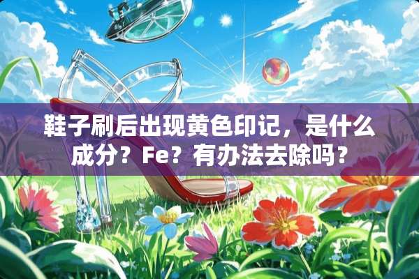 鞋子刷后出现**印记，是什么成分？Fe？有办法去除吗？