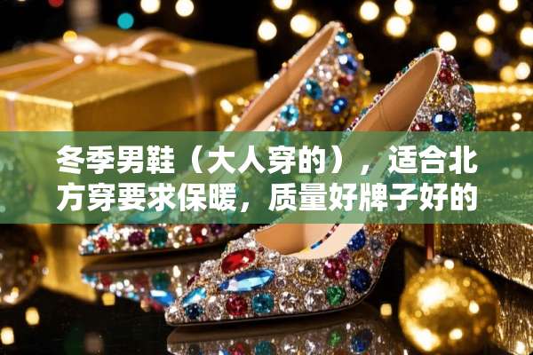 冬季男鞋（大人穿的），适合北方穿要求保暖，质量好牌子好的？