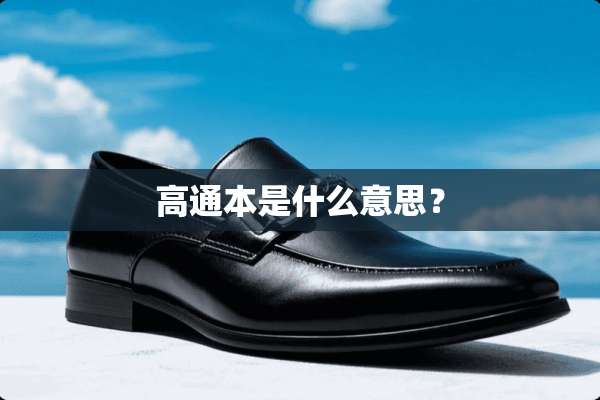高通本是什么意思？