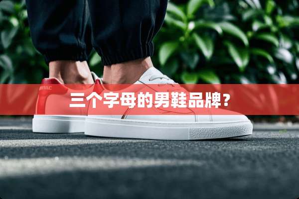三个字母的男鞋品牌？