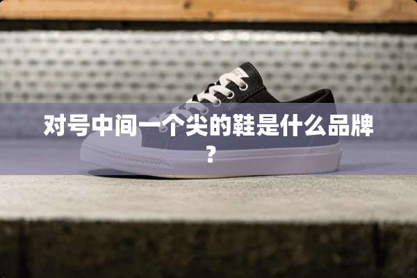 对号中间一个尖的鞋是什么品牌？