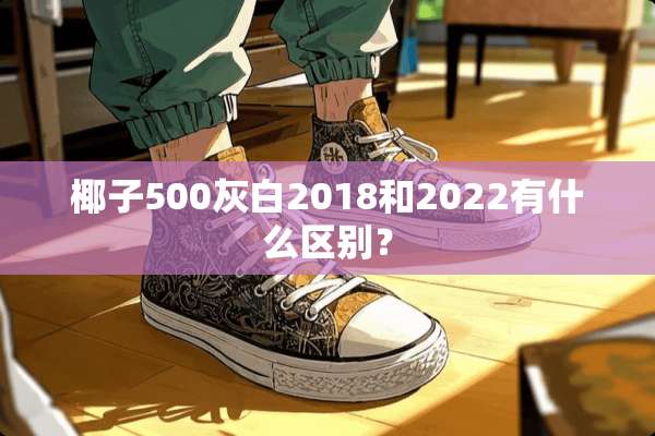 椰子500灰白2018和2022有什么区别？