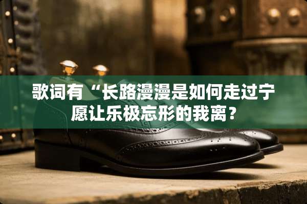 歌词有“长路漫漫是如何走过宁愿让乐极忘形的我离？