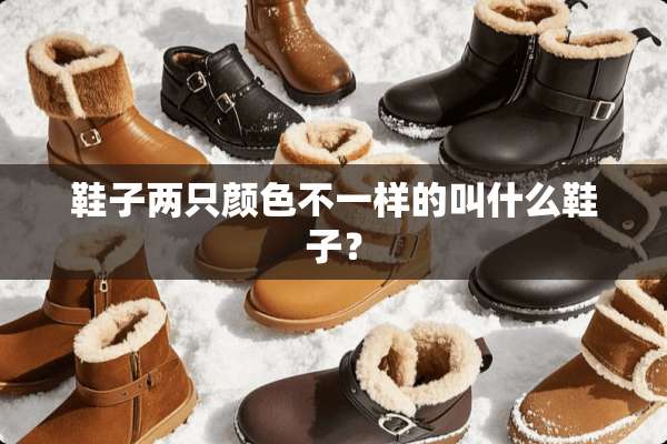 鞋子两只颜色不一样的叫什么鞋子？