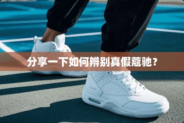 分享一下如何辨别真假蔻驰？