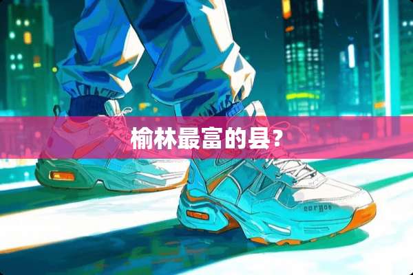 榆林最富的县？