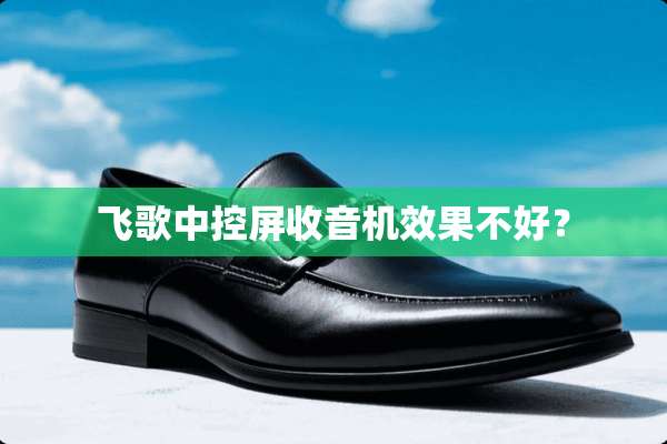 飞歌中控屏收音机效果不好？