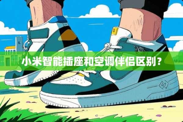 小米智能插座和空调伴侣区别？