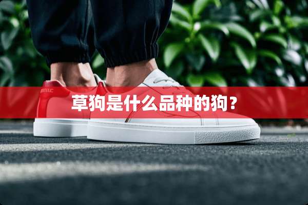 草狗是什么品种的狗？