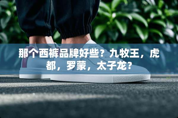 那个西裤品牌好些？九牧王，虎都，罗蒙，太子龙？