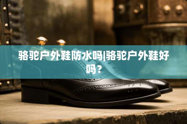骆驼户外鞋防水吗|骆驼户外鞋好吗？