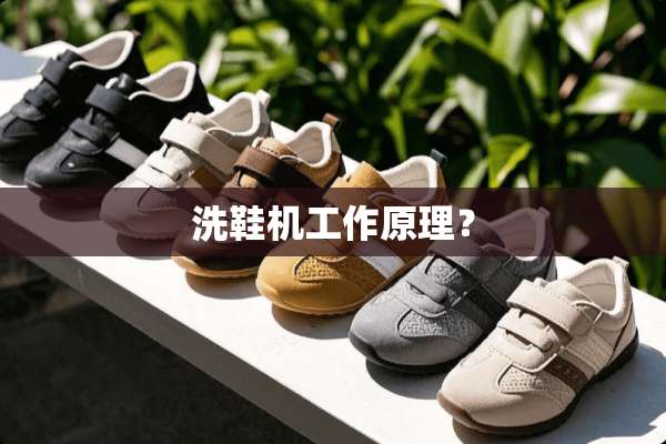 洗鞋机工作原理？