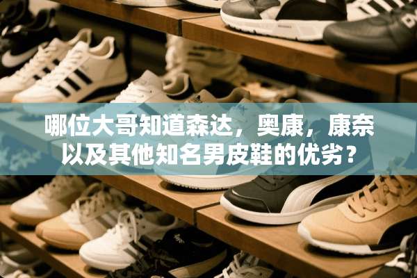 哪位大哥知道森达，奥康，康奈以及其他知名男皮鞋的优劣？