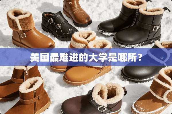 美国最难进的大学是哪所？