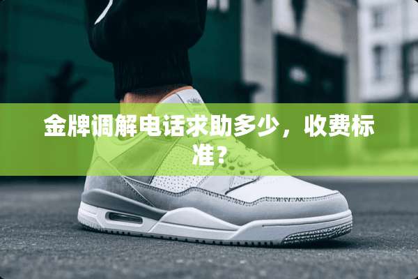 金牌调解电话求助多少，收费标准？