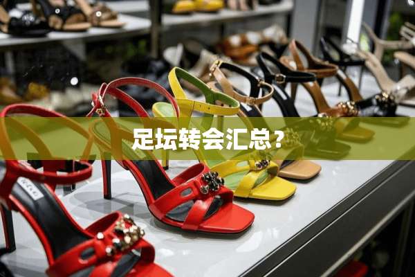 足坛转会汇总？