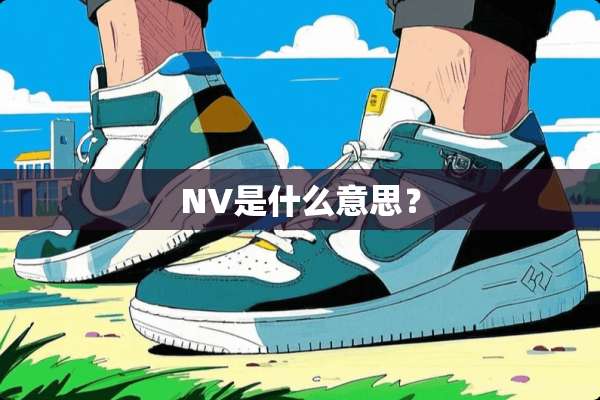 NV是什么意思？