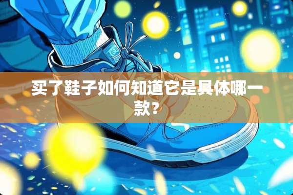 买了鞋子如何知道它是具体哪一款？