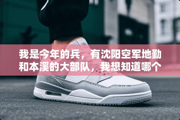 我是今年的兵，有沈阳空军地勤和本溪的大**，我想知道哪个好些？急求？