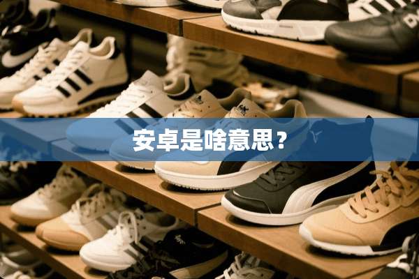 安卓是啥意思？