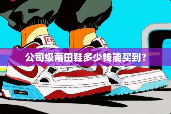 公司级莆田鞋多少钱能买到？