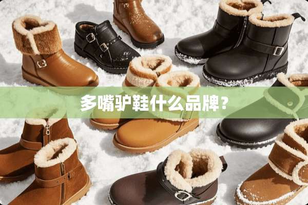 多嘴驴鞋什么品牌？