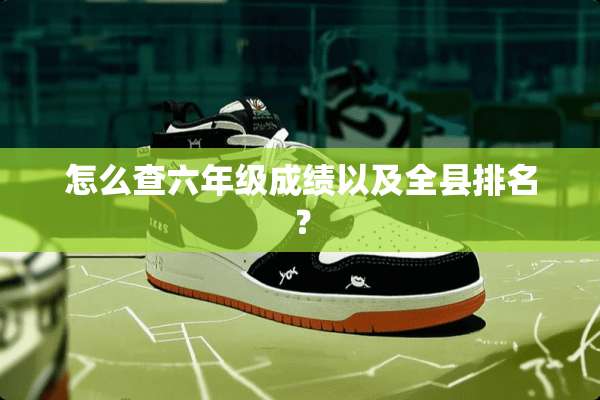 怎么查六年级成绩以及全县排名？
