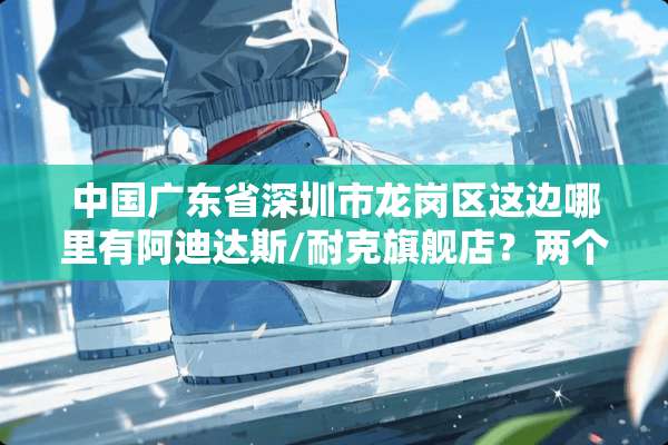 中国广东省深圳市龙岗区这边哪里有阿迪达斯/耐克旗舰店？两个都有最好？