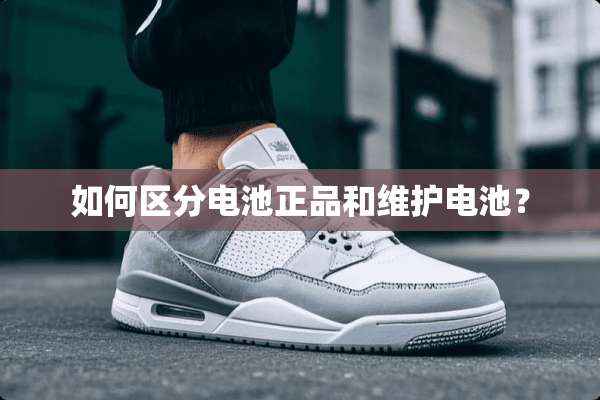 如何区分电池正品和维护电池？