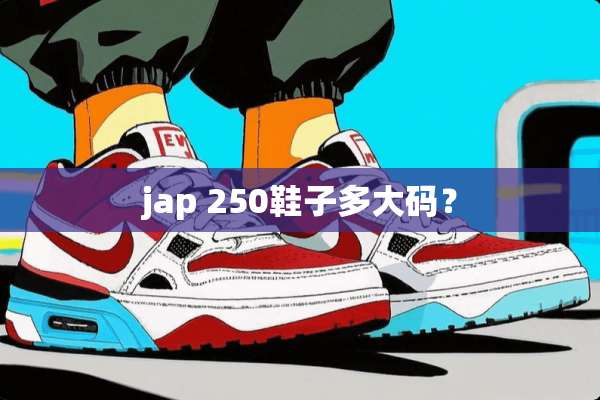 jap 250鞋子多大码？