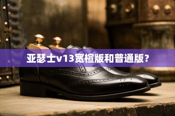亚瑟士v13宽楦版和普通版？