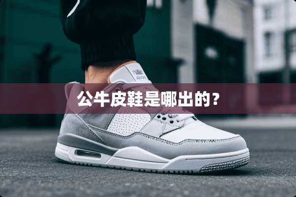 公牛皮鞋是哪出的？