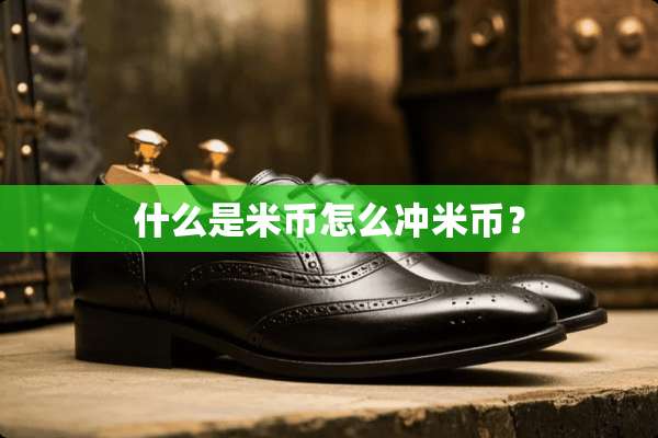 什么是米币怎么冲米币？