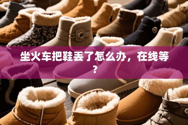 坐火车把鞋丢了怎么办，在线等？
